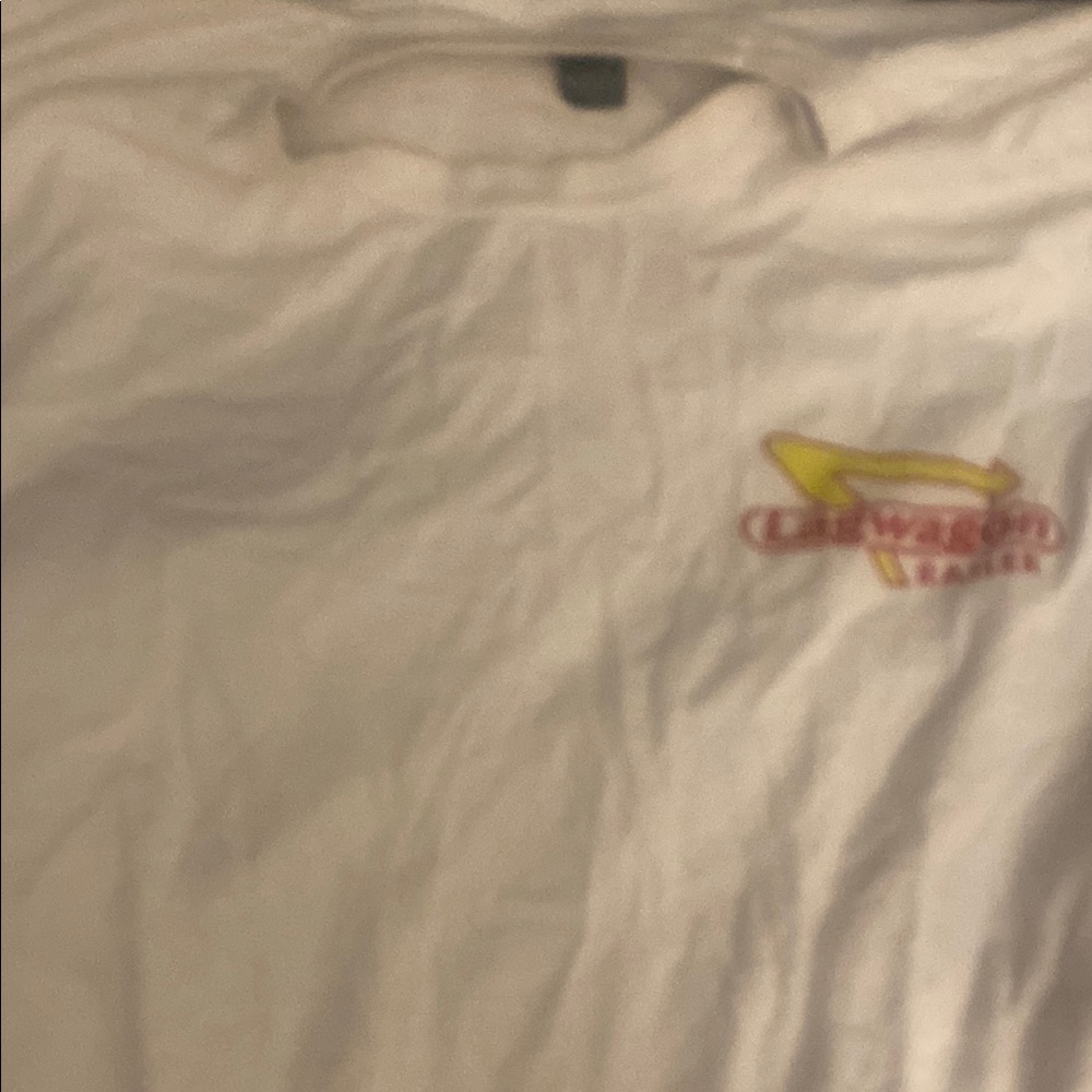 Vintage Lagwagon Railer tour shirt large